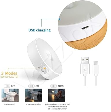 Motion Sensor Light