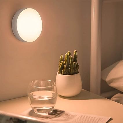Motion Sensor Light